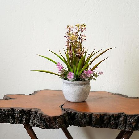 Olive Summer House Chrysi Ammoudia ภายนอก รูปภาพ
