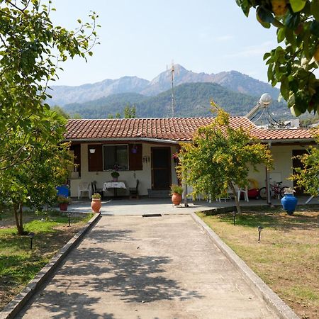 Olive Summer House Chrysi Ammoudia ภายนอก รูปภาพ