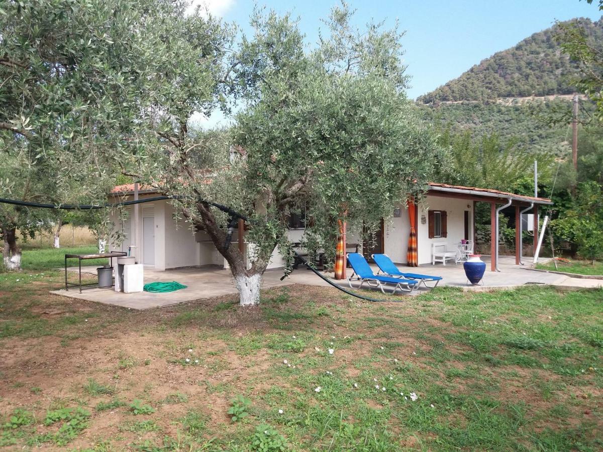 Olive Summer House Chrysi Ammoudia ภายนอก รูปภาพ